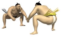 sumo_wrestler_japan_s_a_hr.jpg