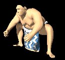 sumo_wrestler_japan_r_a_mc.gif