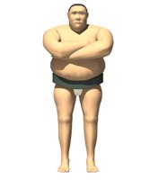 sumo_wrestler_japan_f_a_hr.jpg