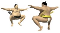 sumo_wrestler_japan_c_a_hr.jpg