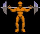 stonemanlift_mc.gif