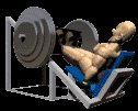 legworkout_mc.gif