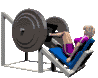legworkin_sc.gif
