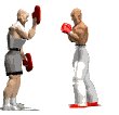 kickobxer_sparring_mw.gif