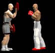 kickobxer_sparring_mb.gif