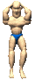 flex1_sc.gif