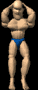 flex1_sb.gif