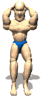 flex1_lw.gif