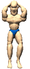 flex1_lc.gif