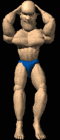 flex1_lb.gif