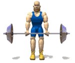 bicep_curls_lw.gif
