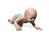 baby_crawl_mw.gif