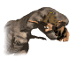 lunch_trex_sw.gif