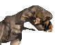 lunch_trex_sc.gif