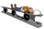 sleeping_on_beam_sw.gif