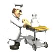 chef_dominick_decorat_a_sw.gif
