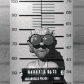 oldlady_jail_mugshotb_sw.gif