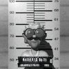 oldlady_jail_mugshot__a_mw.gif