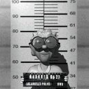 oldlady_jail_mugshot__a_lw.gif