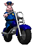 animal_cop_riding_whe_a_sc.gif
