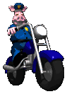 animal_cop_riding_whe_a_mc.gif