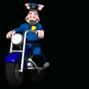 animal_cop_riding_sid_a_lc.gif