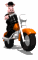 animal_biker_riding_w_a_tw.gif