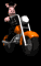 animal_biker_riding_w_a_tb.gif