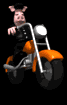 animal_biker_riding_w_a_sb.gif