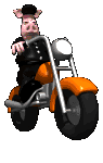 animal_biker_riding_w_a_mc.gif