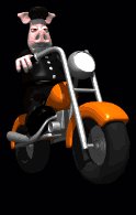animal_biker_riding_w_a_lc.gif