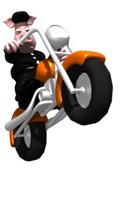 animal_biker_riding_w_a_hr.jpg