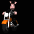 animal_biker_riding_s_a_sb.gif