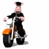 animal_biker_riding_s_a_mw.gif
