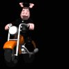 animal_biker_riding_s_a_mb.gif