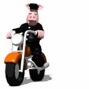 animal_biker_riding_s_a_lw.gif