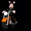 animal_biker_riding_s_a_lc.gif