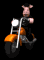animal_biker_riding_m_a_tb.gif