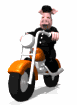 animal_biker_riding_m_a_sw.gif