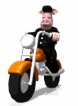 animal_biker_riding_m_a_mw.gif