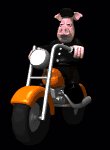 animal_biker_riding_m_a_mc.gif