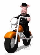 animal_biker_riding_m_a_lw.gif