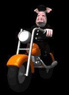animal_biker_riding_m_a_lc.gif