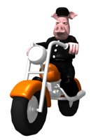animal_biker_riding_m_a_hr.jpg
