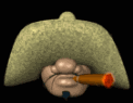 hombre_smoking_lb.gif
