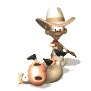 cowboyting_up_cow_sw.gif