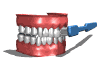 toothbrush1_brushingm_a_sw.gif