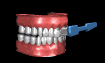 toothbrush1_brushingm_a_sb.gif
