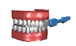 toothbrush1_brushingm_a_mc.gif