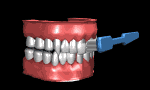 toothbrush1_brushingm_a_mb.gif